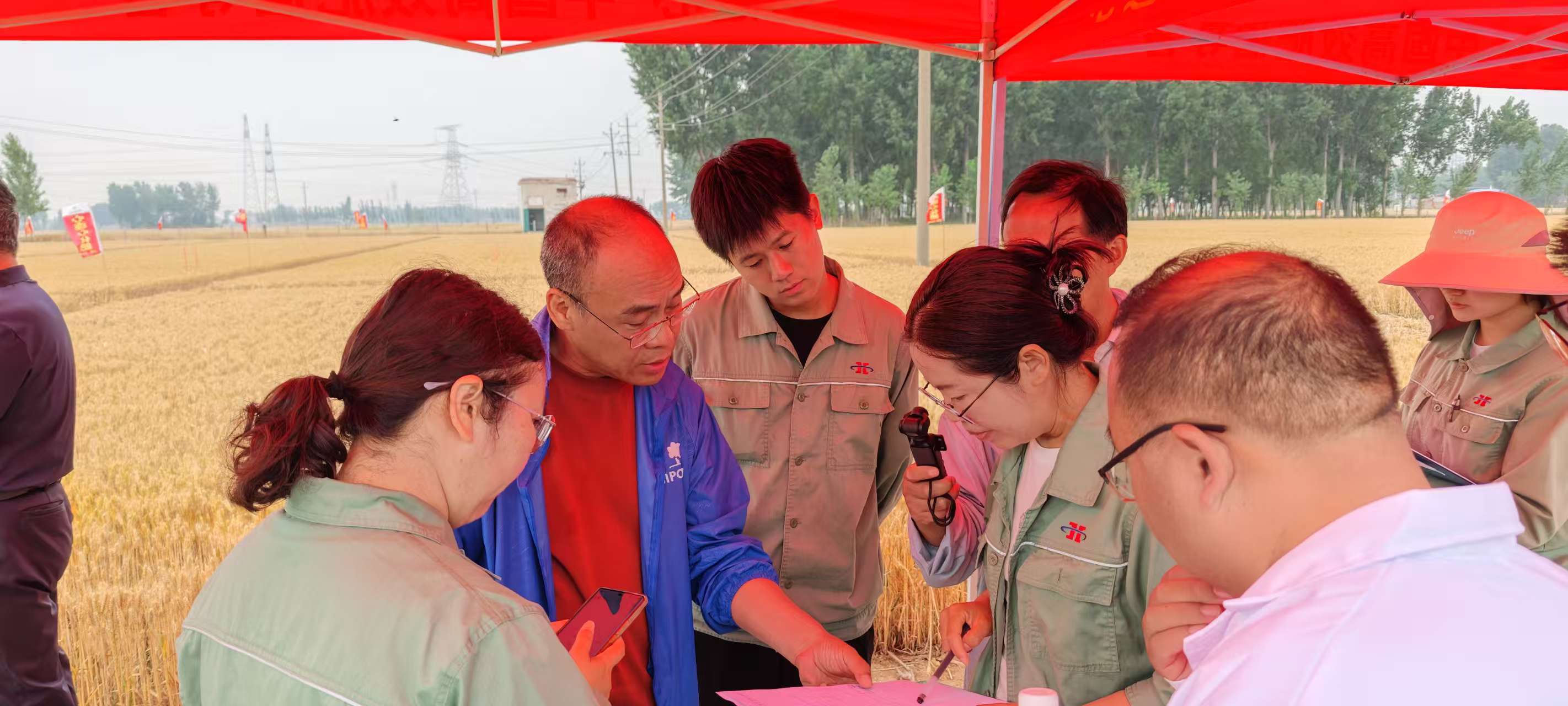 高温旱情下科技赋能农业！尊龙抖圈官网集团主持的两个“十四五”课题交出亮眼成就单