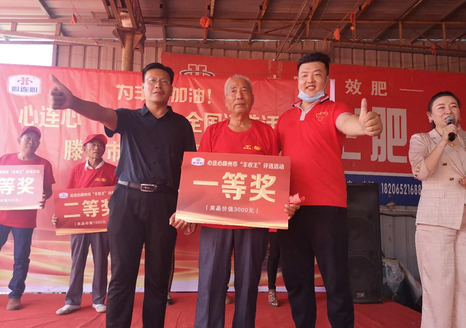 滕州马铃薯“丰登王”