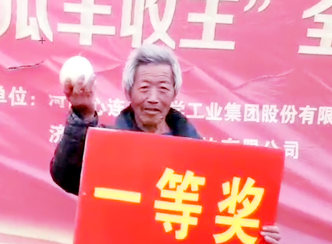 喻屯甜瓜“丰登王”