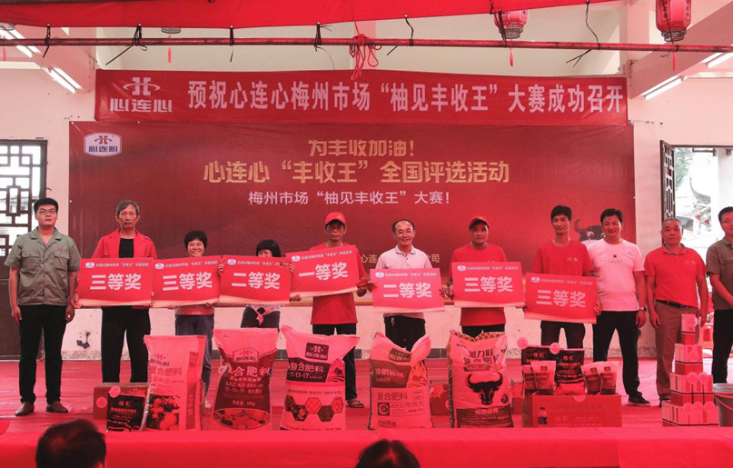 铜川柚子“丰登王”