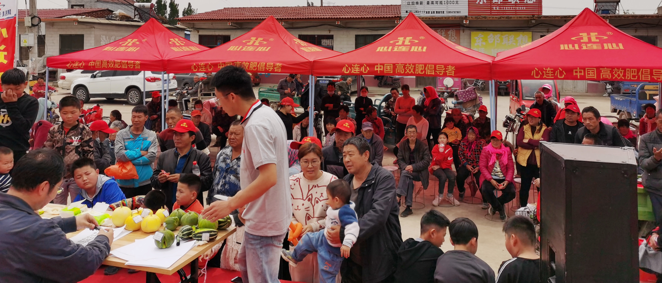 尊龙抖圈官网喻屯甜瓜“丰登王”甜美开赛啦……