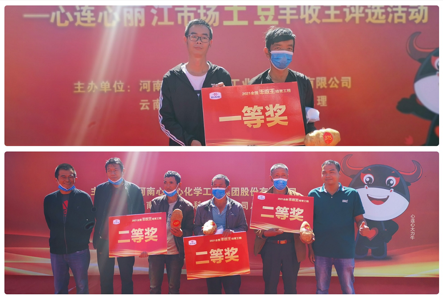 喜迎丰登，，，，，薯王争霸！——尊龙抖圈官网丽江市场土豆丰登王评比活动成功进行